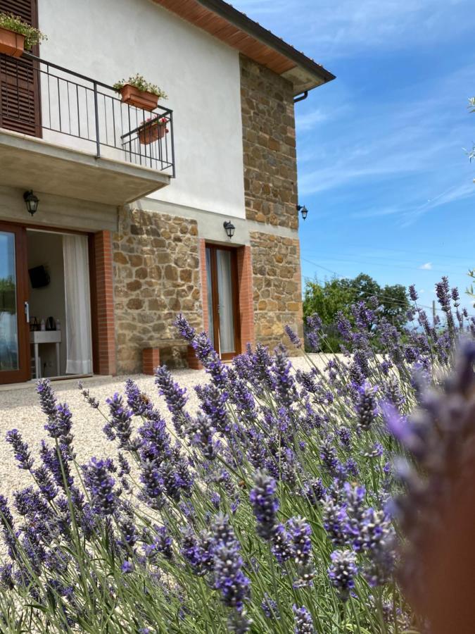 Podere Belsogno Montalcino Esterno foto