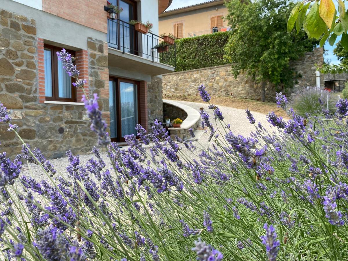 Podere Belsogno Montalcino Esterno foto